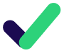Visa Icon